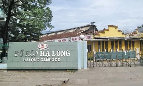 Đồ hộp Hạ Long "xin khất" trả cổ tức năm 2024