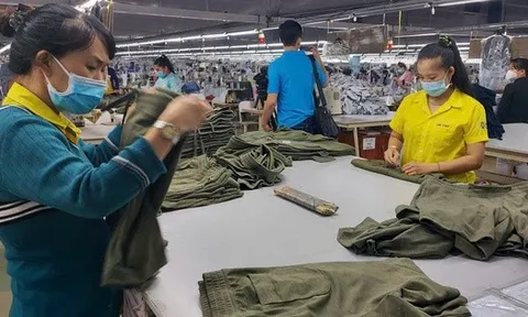 Cục Tiền lương và BHXH nói gì về tiền lương căn cứ đóng BHXH theo quy định mới?