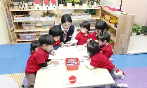 Hà Nội triển khai chính sách miễn học phí cho học sinh công lập từ năm học 2025-2026