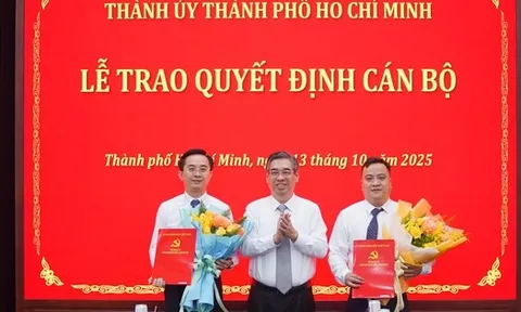 Ông Trần Thế Thông và ông Đinh Xuân Hải được bổ nhiệm làm Thư ký Bí thư Thành ủy TP HCM