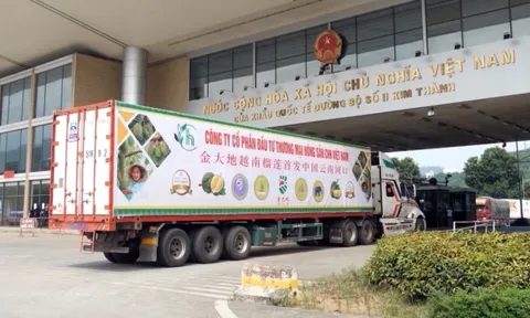 Xuất khẩu Việt Nam lập kỷ lục nhờ một loại quả, Thái Lan tính 'bắt tay': Giấc mơ 10 tỷ USD không còn xa