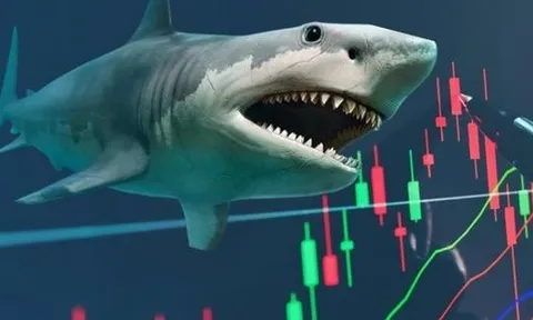 “Cá mập” quy mô gần 14.000 tỷ đồng có thể mua mạnh cổ phiếu này trong kỳ cơ cấu tháng 10