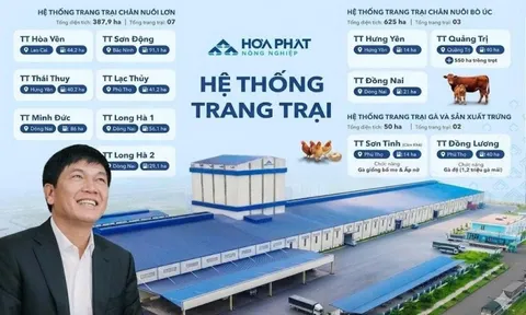 Bí mật 10.700 tỷ: Giải mã cách Tỷ phú Trần Đình Long nuôi heo, bò, gà đạt tỷ suất sinh lời gấp đôi đối thủ