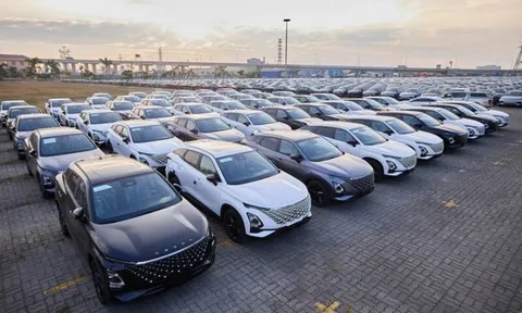 Ô tô nhập: Xe Nhật và Đức sụt giảm, Trung Quốc tăng mạnh