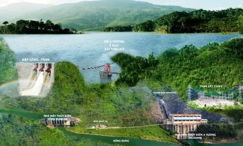 Doanh nghiệp thủy điện lớn top đầu Đà Nẵng có thông báo quan trọng