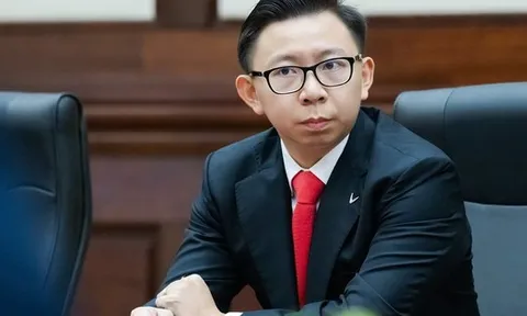 Ông Phạm Nhật Quân Anh làm Tổng Giám đốc VinMetal