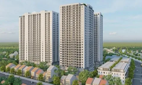 Danh tính chủ đầu tư loạt dự án nhà ở xã hội vừa bị Thanh tra Hải Phòng 'gọi tên'?