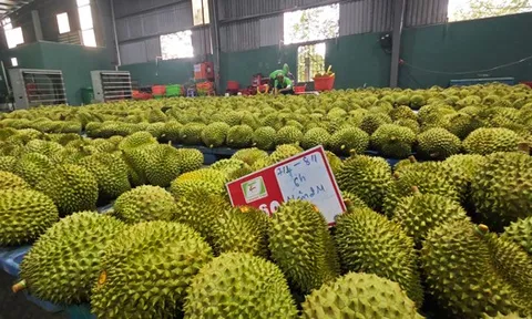 Xuất khẩu nông, lâm, thủy sản sớm về đích