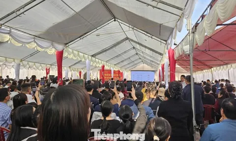 Đấu giá đất vùng quê: Giá 'bị đẩy' lên cao gấp 3 lần giá khởi điểm