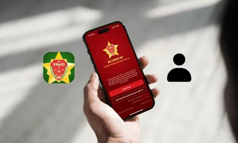 Vào kiểm tra VNeID trước 15/12 để tránh bị phạt tiền