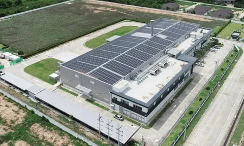 Create Capital Việt Nam (CRC) ước lãi quý 4 tăng gần 51% so với cùng kỳ năm trước