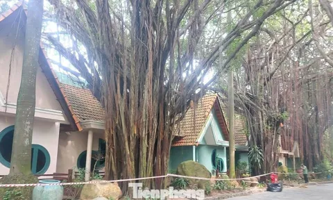 Cận cảnh hàng chục căn villa khu resort ở TPHCM bị phong tỏa vì nứt tường, sập trần