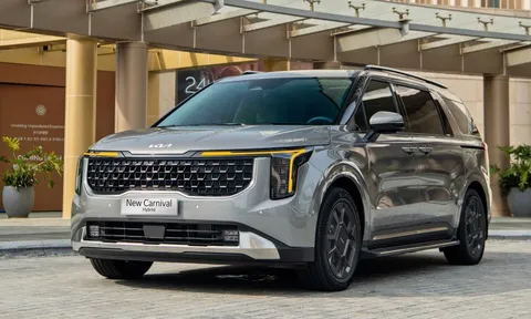 New Carnival – Định hình phong cách sang trọng và đẳng cấp theo gu thẩm mỹ của khách hàng