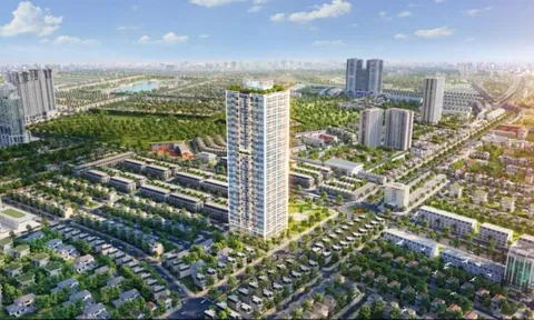 Một đơn vị liên quan và Chủ tịch Sông Đà 1.01 bị xử phạt hàng trăm triệu đồng vì “mua - bán chui” cổ phiếu SJC