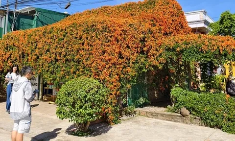 Căn nhà đang "nổi như cồn" ở Lâm Đồng