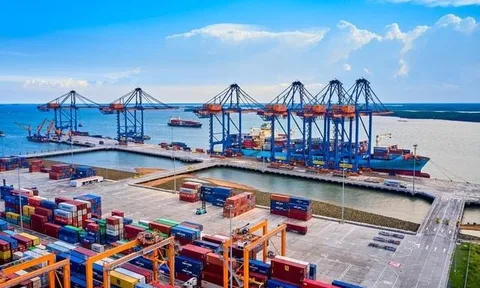 Cổ phiếu "gã khổng lồ" sở hữu cảng nước sâu lớn nhất Việt Nam "tím lịm" sau khi báo lãi lớn, cá mập âm thầm gom hàng