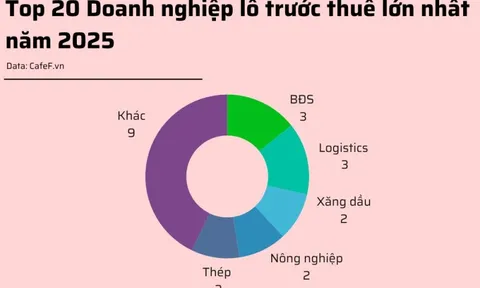 20 doanh nghiệp lỗ trước thuế lớn nhất năm 2025: HAGL Agrico lỗ gần 1.000 tỷ, bất động sản, logistics chiếm sóng
