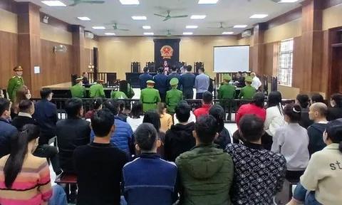 Môi giới hối lộ, trùm giang hồ Mạnh "gỗ" nhận 3,092 tỉ đồng, đưa kiểm lâm 36,5 triệu đồng