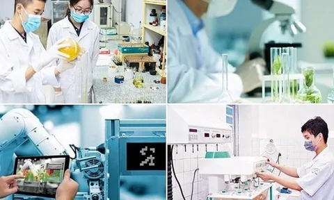 Miễn tiền thuê đất với dự án khoa học, công nghệ, đổi mới sáng tạo và chuyển đổi số