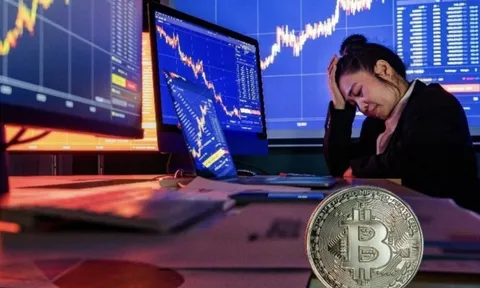 Bitcoin và tiền số 2026: Cơ hội lớn cho nhà đầu tư hay cái bẫy FOMO mới?