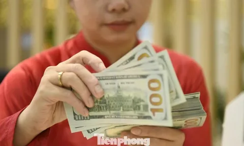 Tỷ giá diễn biến ra sao sau Tết?