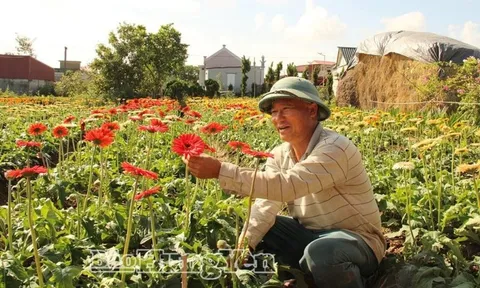 Anh nông dân lãi 1,2 tỷ đồng từ loài hoa hễ hé nụ là có người tới "cướp"