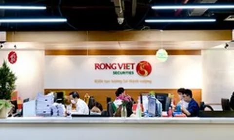 Loạt công ty chứng khoán đón cổ đông lớn mới: Từ cá nhân bí ẩn tới sự đồng hành chiến lược