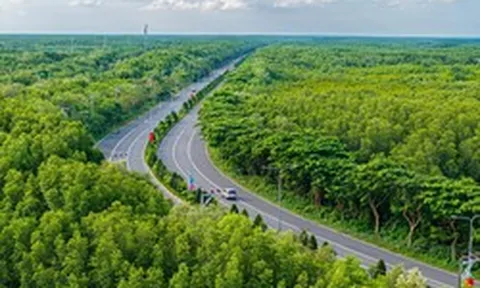 Đề xuất xây hai đảo nhân tạo trên biển, gần TP HCM