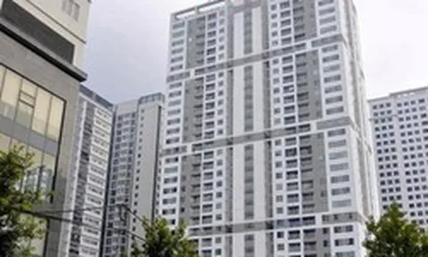 Biến động sở hữu của nhóm quỹ ngoại tại Taseco Land