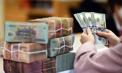 Dùng sai mục đích vốn từ lô trái phiếu 1.300 tỷ đồng, Nam Rạch Chiếc bị phạt 175 triệu đồng