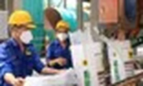 Xuất khẩu phân bón nửa năm đạt gần 1 tỷ USD, cơ hội lập kỷ lục mới