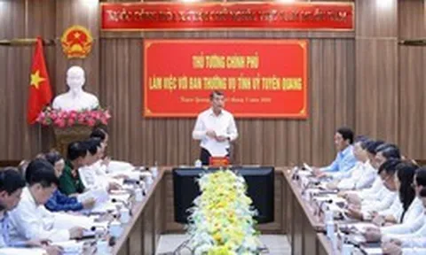 Xác định 26 người vi phạm pháp luật trong vụ gian lận thi cử tại Tuyên Quang