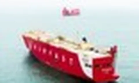 Phát hiện 2 tàu lớn có logo VinFast xuất hiện ở vùng biển gần cảng Hải Phòng, thực hiện nhiệm vụ đặc biệt