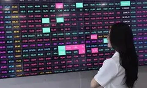 Chứng khoán sau cú rơi mạnh nhất từ đầu năm: Tháng 8 có 'dễ thở' hơn?
