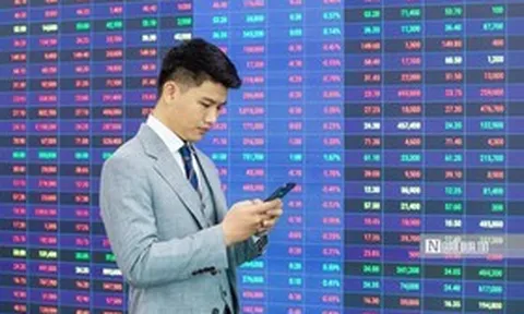ANT liên tục nằm sàn, mất gần 25% sau 2 tuần