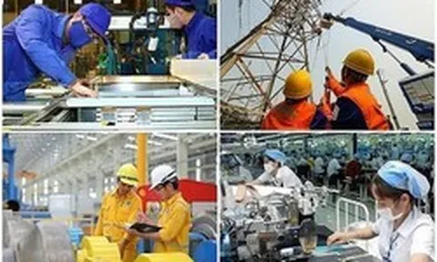 “Sóng” cổ phiếu vốn nhà nước: Cơ hội hay áp lực nguồn cung?