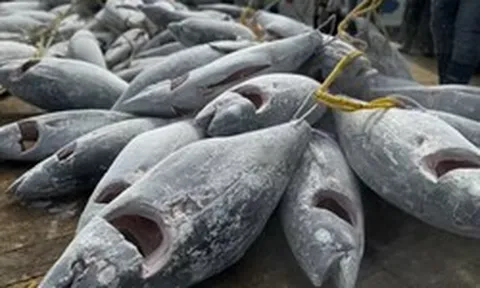 Mỹ báo một tin vui trăm triệu đô đến Việt Nam