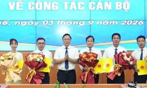 Điều động, bổ nhiệm nhân sự mới ở 4 tỉnh,  thành