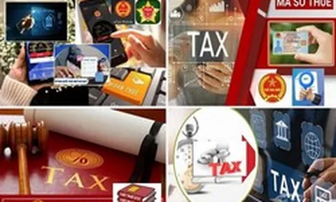 Cục Thuế: Chấm dứt hiệu lực mã số thuế phải hoàn thành nghĩa vụ hóa đơn, tiền thuế