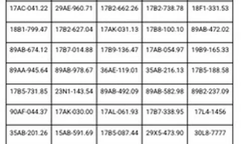 865 chủ phương tiện có biển số sau khẩn trương nộp phạt nguội theo Nghị định 168 trong danh sách mới nhất