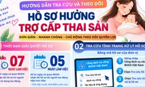 Hướng dẫn tra cứu, theo dõi hồ sơ hưởng trợ cấp thai sản