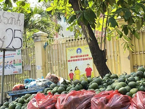 Cam sành được "giải cứu" tại TP HCM