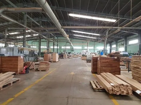 Buồn của doanh nghiệp từng được mệnh danh là “vua gỗ”: Đóng cửa chi nhánh, giải thể nhà máy, “gánh” khoản lỗ lũy kế hơn 3.200 tỷ đồng