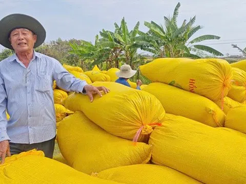 Xuất khẩu gạo hóa giải thách thức