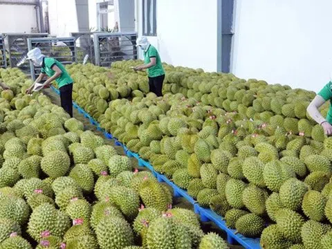 Việt Nam thuộc TOP 30 nước tăng trưởng thương mại cao nhất