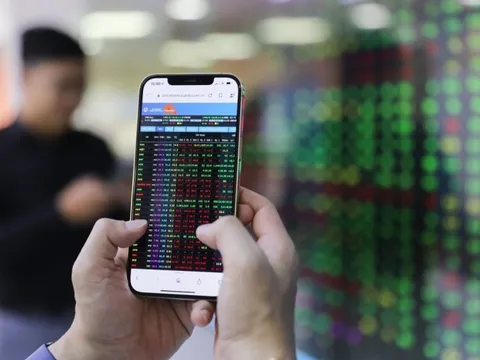 VinaCapital: Đợt bán tháo mở ra cơ hội mua vào cổ phiếu cơ bản tốt có định giá hấp dẫn