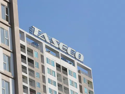 Taseco Land 'cài số lùi' lợi nhuận năm 2025, muốn lấn sân mảng giáo dục