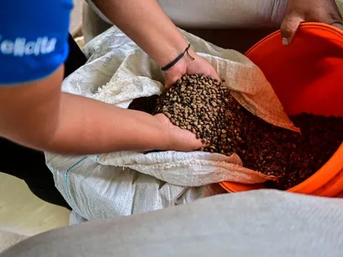 Tổng thống Donald Trump áp thuế đối ứng, người Mỹ sắp phải trả thêm tiền cho một thức uống quen thuộc - Là sản phẩm Việt Nam được ưu đãi thuế nhập khẩu 0%