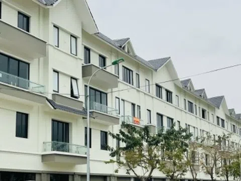 Ngỡ ngàng loạt biệt thự triệu đô ở Hà Nội cho thuê với giá 'bèo'