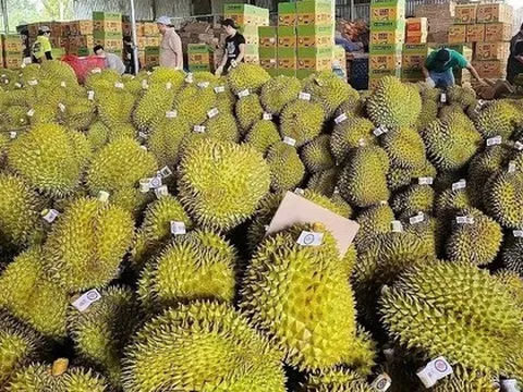 Tăng cường thúc đẩy hợp tác thương mại Việt Nam-Trung Quốc